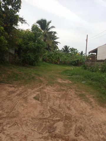 ขายที่ดินสวย 1 ไร่ 1 งาน 70 ตร.ว. @สูงเนิน จ.นครราชสีมา หมาะสร้างบ้าน รีสอร์ต โกดัง หรือทำเกษตร บรรยากาศดีมาก! 5