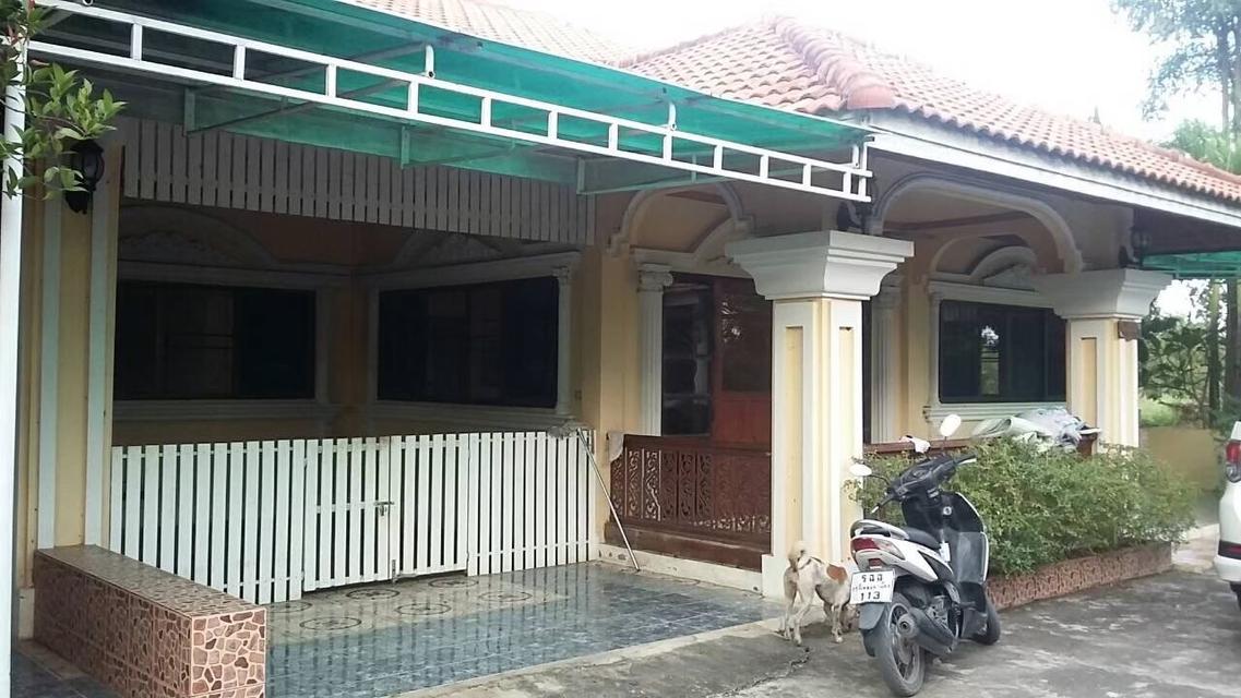 ที่ดินพร้อมบ้าน จังหวัด ลำพูน อำเภอเมือง 14