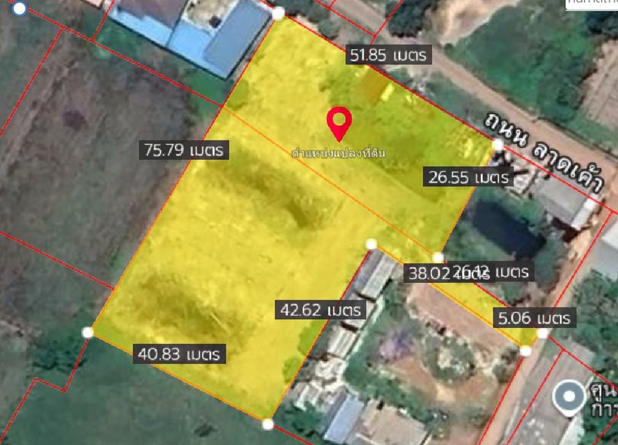 ขายที่ดินบ้านซ่อง 2 ไร่ ติดถนน2ด้าน ใกล้ถนนเส้น319-1.6กม. อ.พนมสารคาม ฉะเชิงเทรา 7