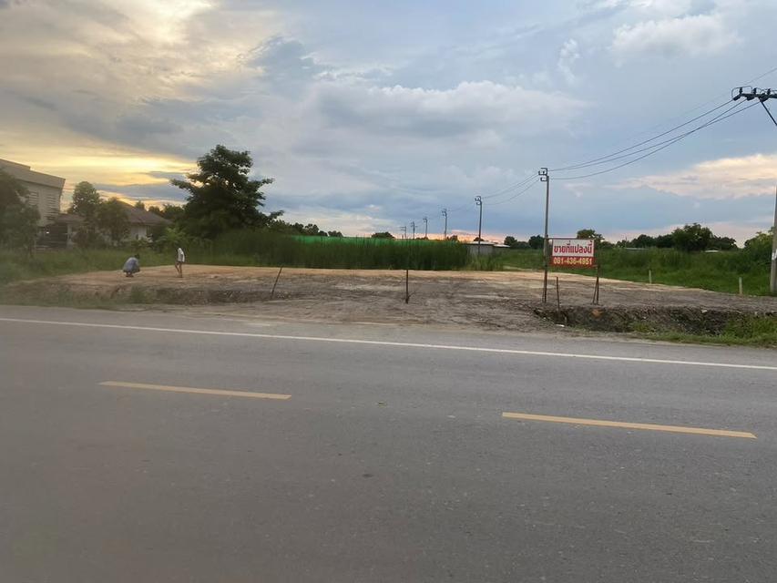 ขายที่ดินเปล่า ติดถนนใหญ่ 3