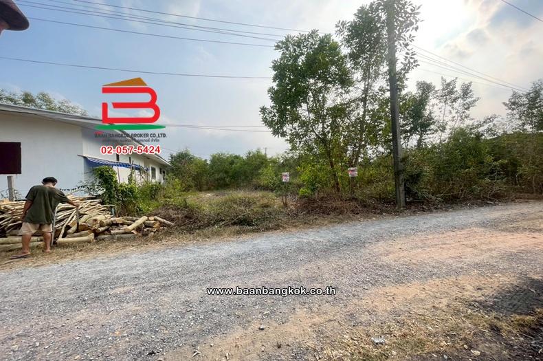 ที่ดินเปล่า เนื้อที่ 57 ตร.ว. ซอยอยู่รวยแลนด์ ถนนรังสิต-นครนายก ตำบลหนองสามวัง อำเภอหนองเสือ ปทุมธานี 6