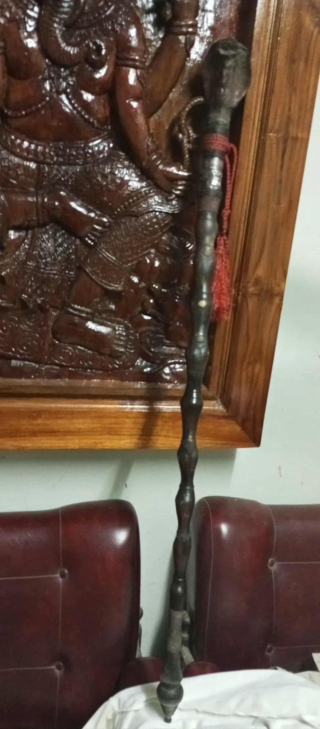 ไม้เท้างู ไม้เท้างูจงอาง ไม้เท้าแกะสลัก เศียรพญานาค ไม้เท้าไม้ไผ่ 2