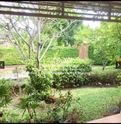 บ้าน ขายบ้านพักตากอากาศชั้นเดียว (หลังมุม) ในโครงการใกล้หาดชะอำ เพชรบุรี 61 ตร.ว. 2 น 2 น้ำ ราคา 5.2 ล้านบาท พื้นที่เท่า