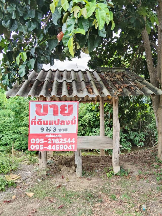 ที่ดิน 1