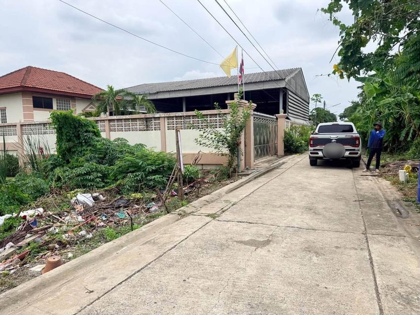 ขายด่วนที่ดินตลาดใหญ่ลำลูกกา 100 ตรว ติดถนนคอนกรีต ซ.เทศบาล 17 ลำลูกกา ปทุมธานี 5