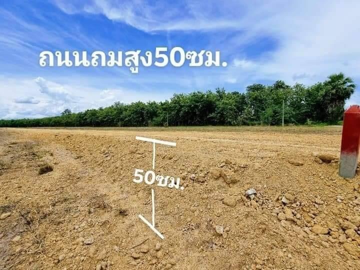 ที่ดิน 200ตารางวา เขากระปุก ท่ายาง เพชรบุรี 12