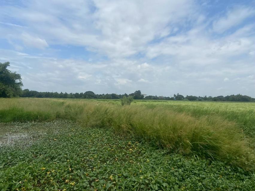 ขายที่ดิน 8 ไร่ อยู่ถนนสายเอเซีย อ. อินทร์บุรี จ. สิงห์บุรี 7