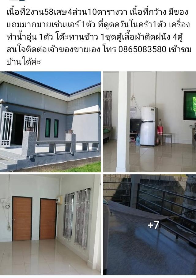 ขายบ้านและที่ดินขนาด2งาน 58เศษ4ส่วน10ตารางวา 2