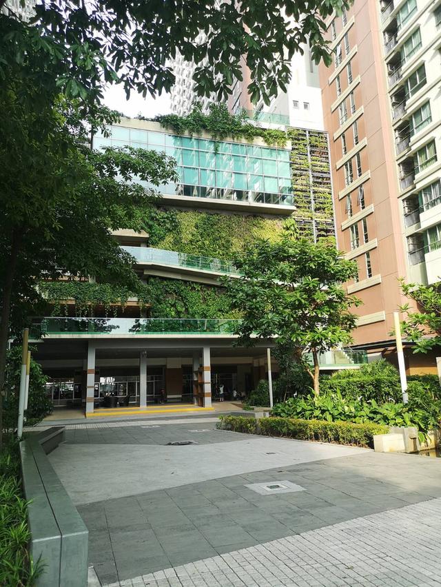 Lumpini Park Riverside - Rama III 16