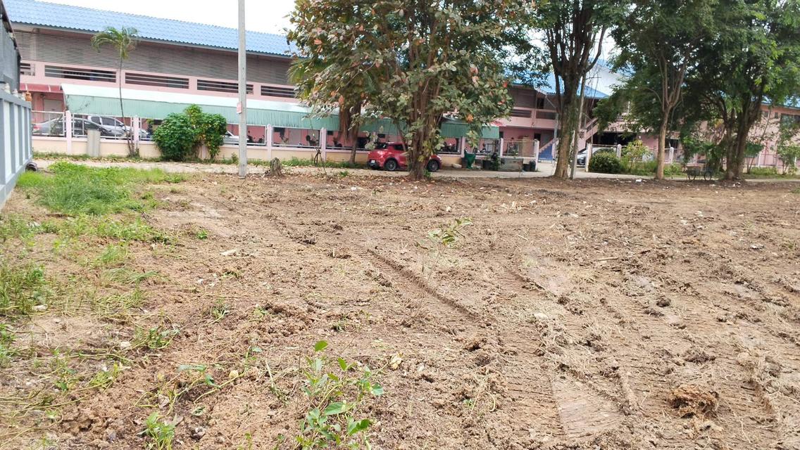 ที่ดิน ม.ฝ้ายคำแลนด์  ใก้ลนิคมฯ ต.บ้านกลาง อ.เมือง ลำพูน 9