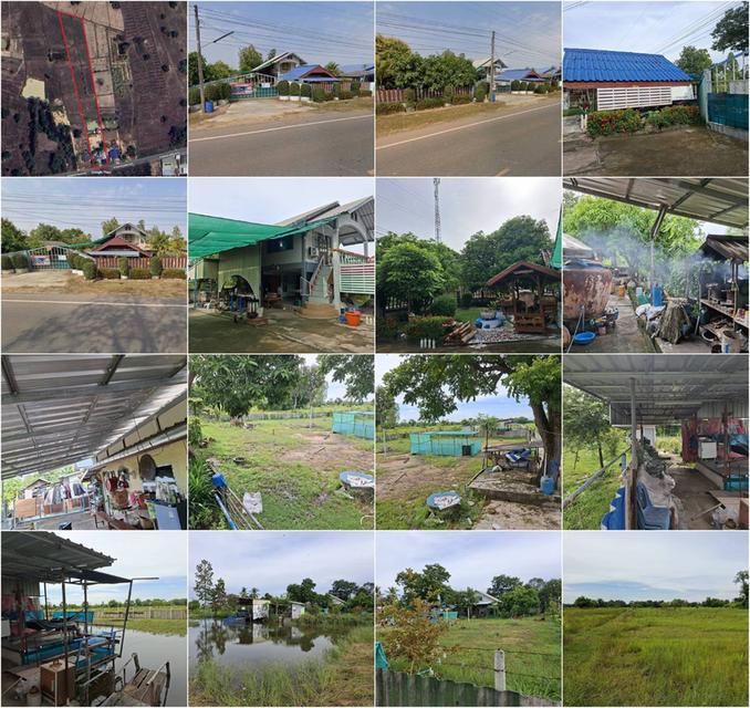 ขายบ้านพร้อมที่ดิน 5 ไร่ (พื้นที่บ้าน และทุ่งนา)