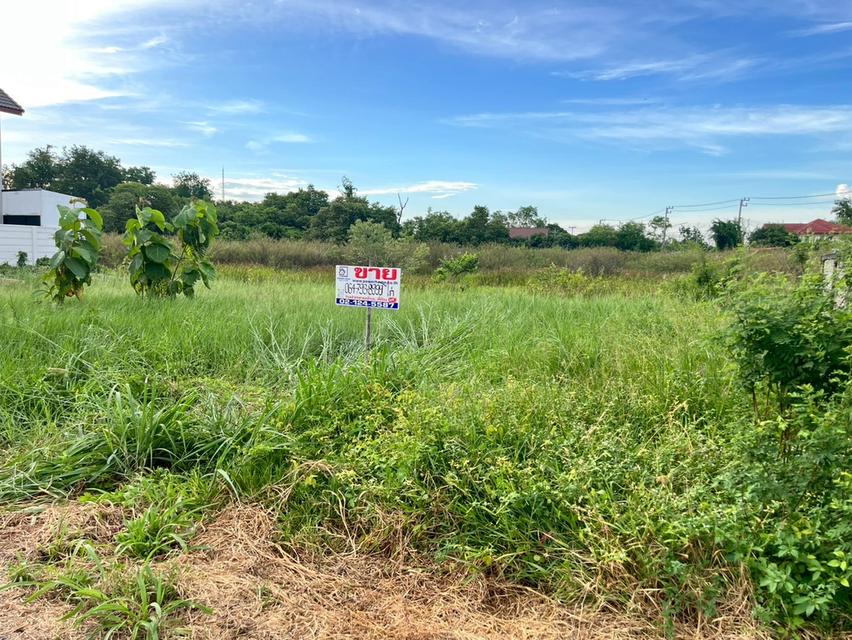 ที่ดินเปล่า ถมแล้ว ใกล้มหาวิทยาลัยธรรมศาสตร์ศูนย์รังสิต ถนนเชียงราก ต.เชียงรากใหญ่ อ.สามโคก จ.ปทุมธานี 9