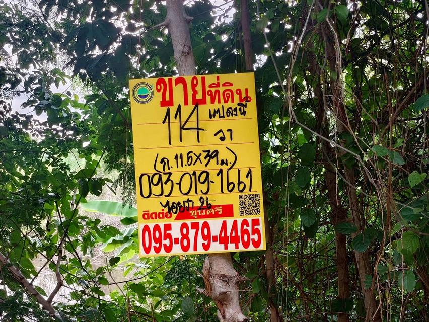 ขายด่วนที่ดินคลองสอง 114 ตรว ติดถนนคอนกรีต ซ.ไอยรา 26 คลองหลวง ปทุมธานี 2