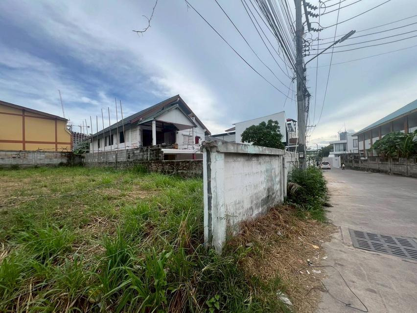 ขายด่วนที่ดินพัทยา บางละมุง ชลบุรี 2