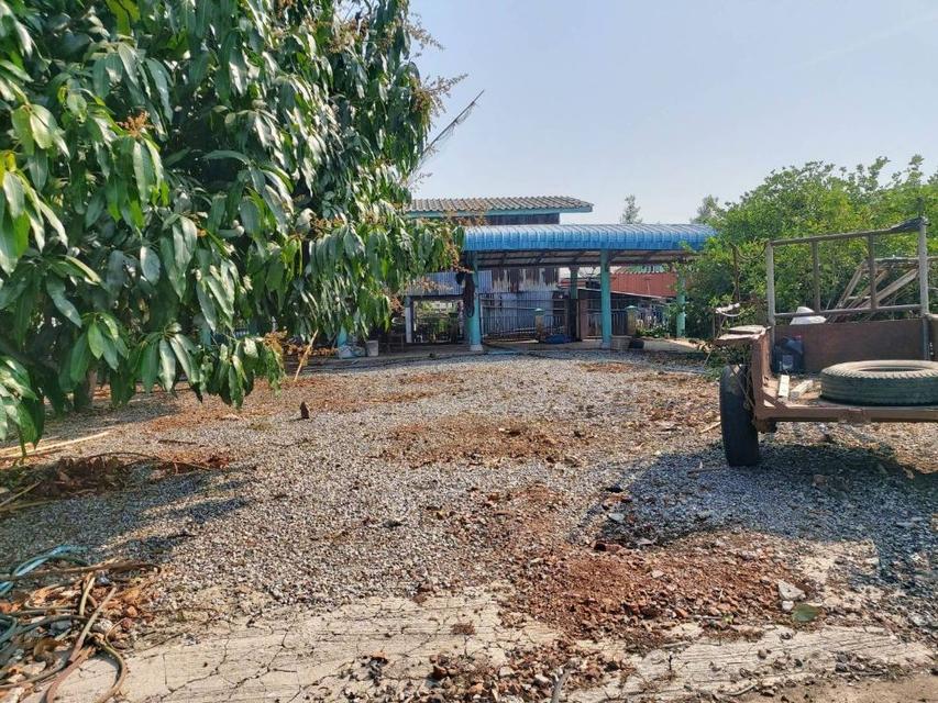 ขายที่ดินสวยถมแล้ว 209 ตรว. พร้อมโฉนด ทำเลดี เดินทางสะดวก บ้านท้ายลาด ลพบุรี ( เจ้าของขายเอง ) 11