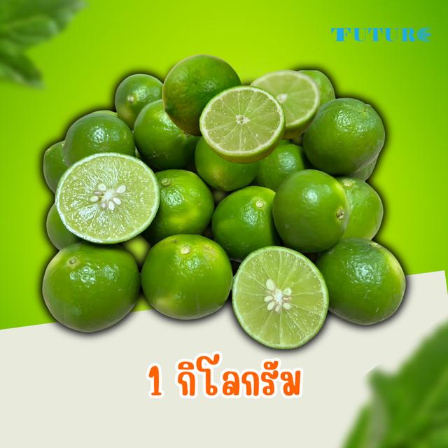 มะนาวสดจากไร่สวนสุข  คละไซส์ขนาด 1 กิโล ลูกใหญ่ น้ำเยอะ หอม เปลือกบาง คัดเกรด เก็บจากสวน 4