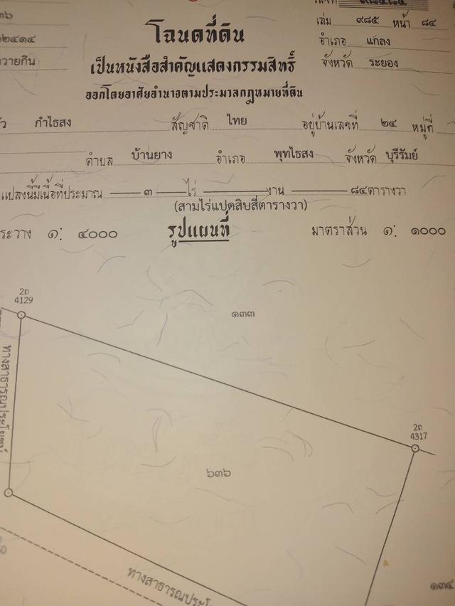 ขายที่ดิน อยู่ที่ประแส อำเภอแกลง ระยอง 4