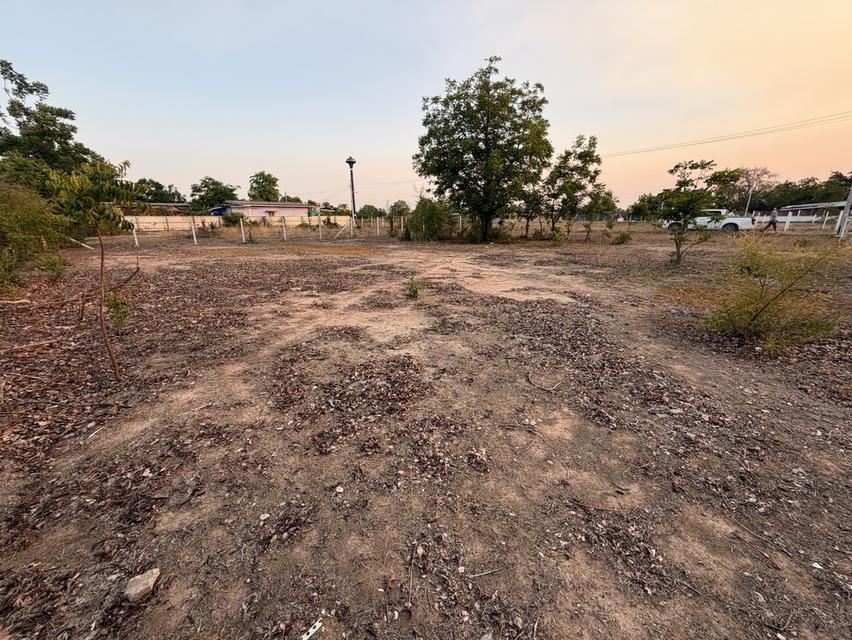 ขายที่ดินขนาด 200 ตรว. ตำบลทะเลบก อำเภอดอนเจดีย์ จังหวัดสุพรรณบุรี 5