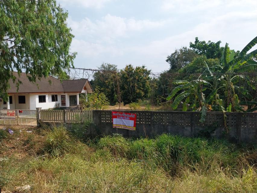 บ้าน2หลัง2แปลง พร้อมที่ดิน  2แปลง 5