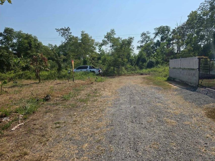 ขายด่วนที่ดิน 63 ตารางวา ) (ติดถนนสาธารณะ ประชา1 แขวงคลอง สิบสอง เขตหนองจอก กทม. 4