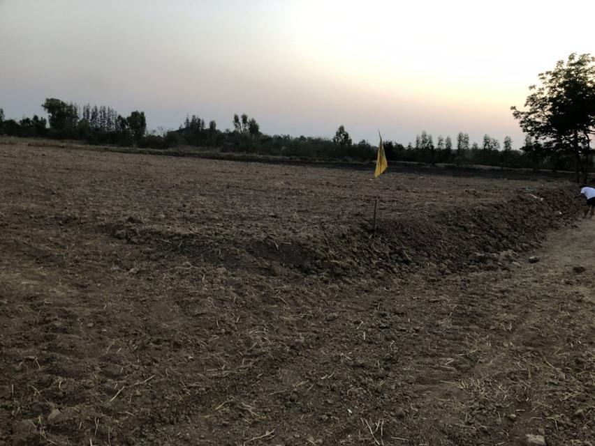 ที่ดินเปล่าพร้อมปลูกสร้างที่อยู่อาศัย 9