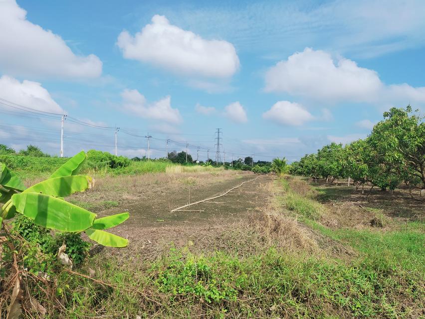 ที่ดิน 4