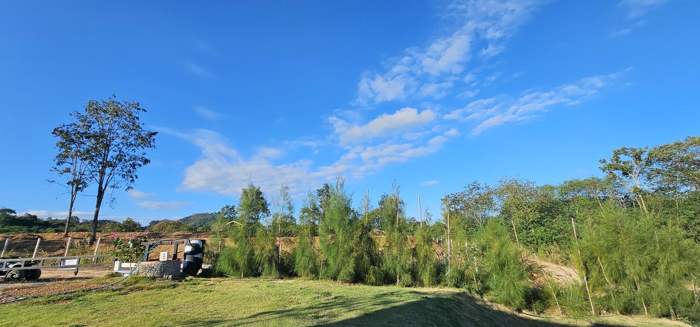 ลานแค้มปิ้งค์ พร้อมใช้งาน @เขาใหญ่ 2