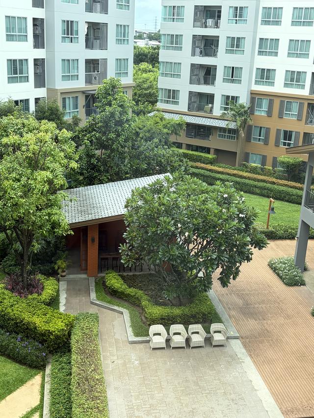 ปล่อยเช่าคอนโด D Condo Nim (ดีคอนโด นิม) เชียงใหม่ 4