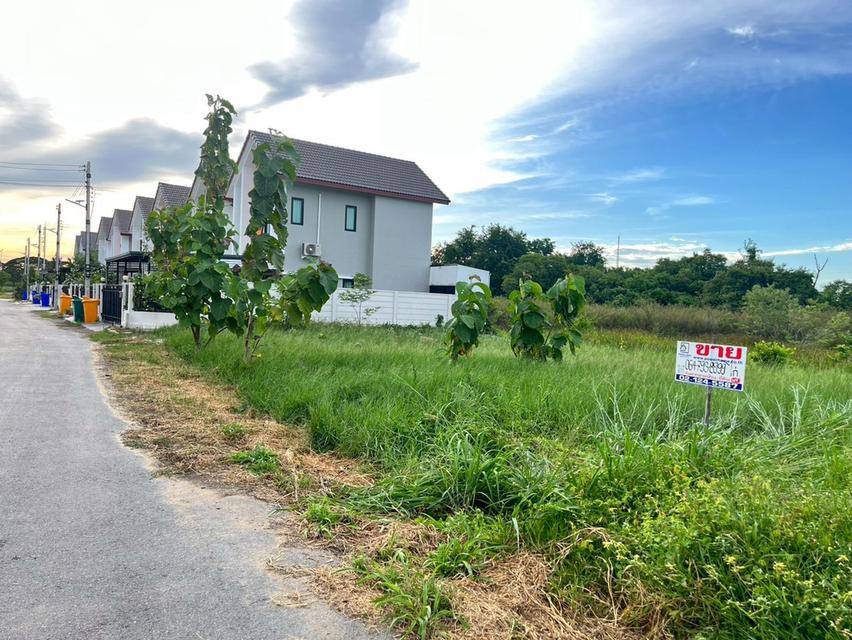 ที่ดินเปล่า ถมแล้ว ใกล้มหาวิทยาลัยธรรมศาสตร์ศูนย์รังสิต ถนนเชียงราก ต.เชียงรากใหญ่ อ.สามโคก จ.ปทุมธานี 6