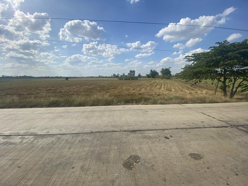 ที่ดินทำเลดี อยู่ในเขตชลประทาน 4