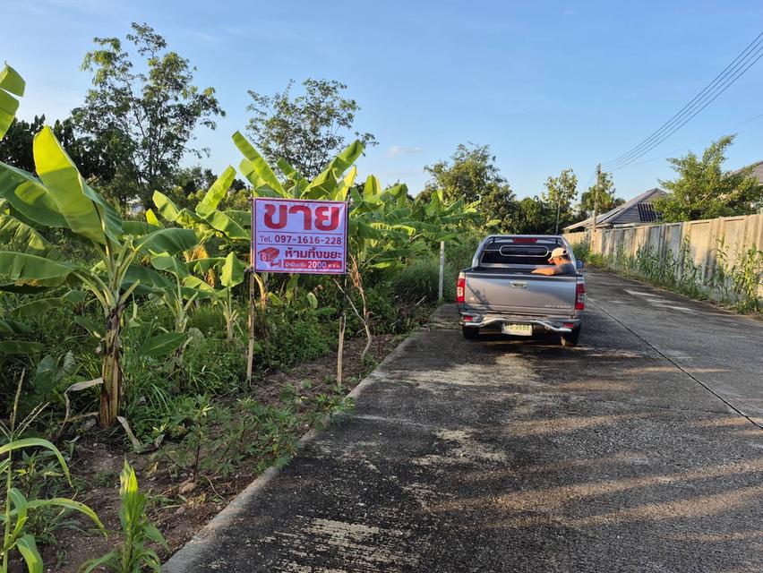 ที่ดินสวย เวียงแก้ว ต.เวียงยอง สายหลัก A114 ลำพูน 3