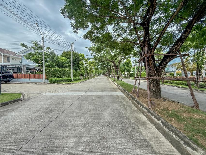 ขายบ้านแฝดมือสอง โครงการ วิลลาจจิโอ ปิ่นเกล้า-ศาลายา (Villaggio Pinklao-Salaya) เนื้อที่ 35 ตร.ว. ใกล้เซ็นทรัลศาลายา และจุดขึ้นทางด่วนศรีรัช 13