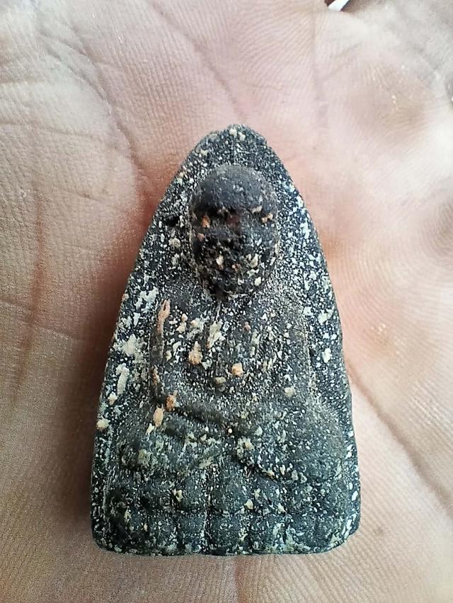 พระหลวงปู่ทวด ว่าน๙๗