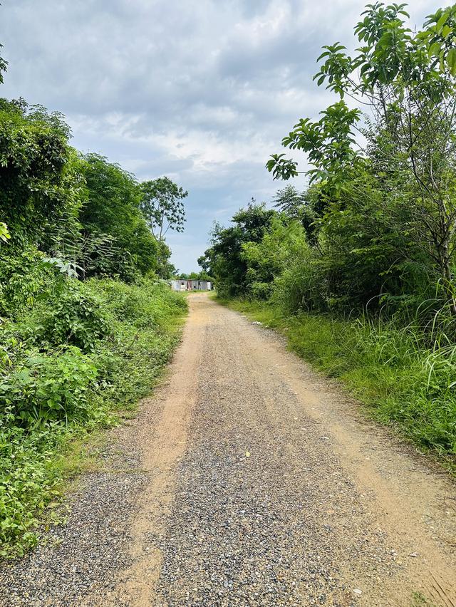 ‼️ขายที่ดินใกล้เมืองหาดใหญ่ โซนคลองแห ทำเลกำลังเติบโต 🏡🌿 2
