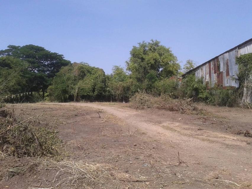 ที่ดินริมแม่น้ำป่าสัก จังหวัดสระบุรี 3