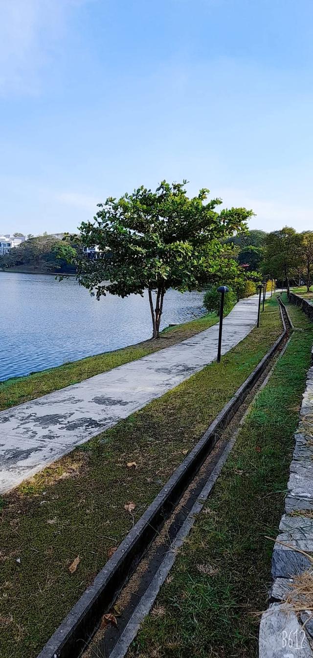 บ้านเดี่ยว 2ชั้น 4นอน 4น้ำ 2จอด 9