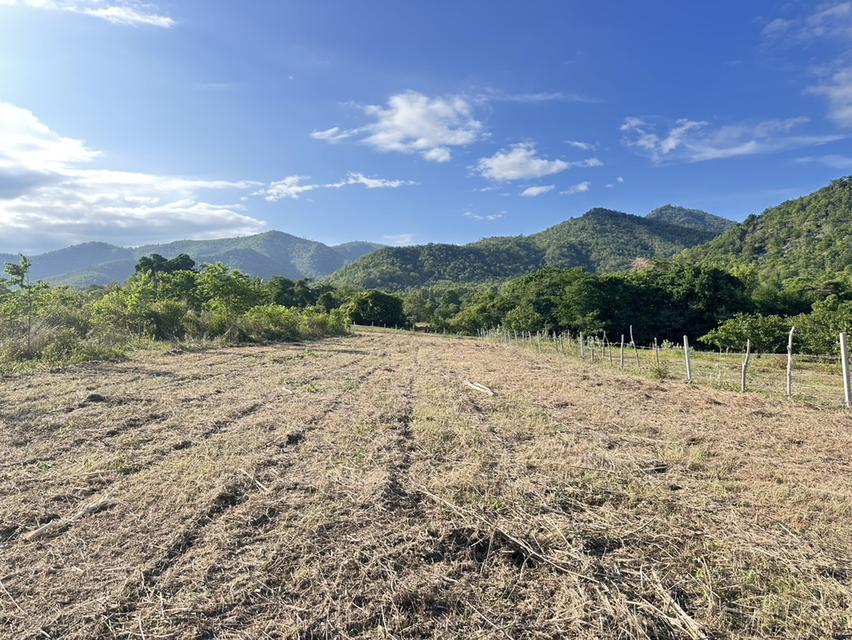 ที่ดิน พุหวาย ชะอำ จ เพชรบุรี ขนาด 6.375 ไร่  16