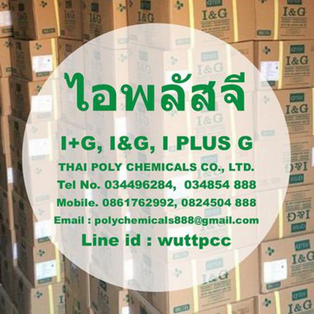 ไอพลัสจี, I PLUS G, I+G, I&G, ไรไบนิวคลีโอไทด์, Ribonucleoti 4