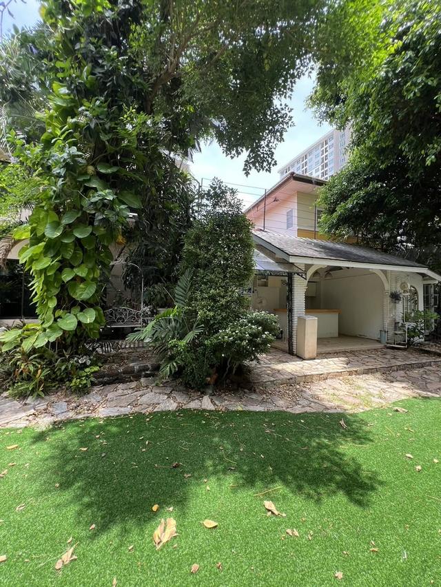 U1477 ให้เช่าบ้านสวน ใจกลางสุขุมวิท 101 FOR RENT RARE GARDEN SPACE IN SUKHUMVIT An Extraordinary Glasshouse Garden Space in Sukhumvit 101 12
