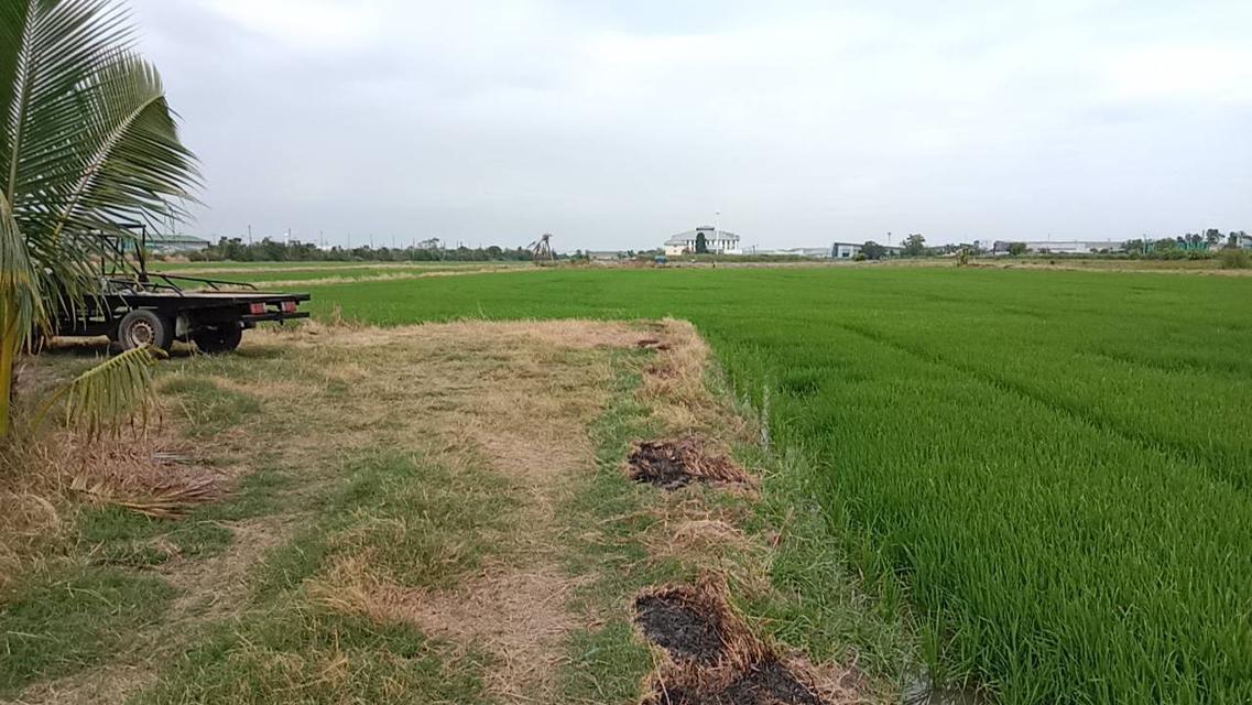 อสังหาริมทรัพย์ที่ดิน