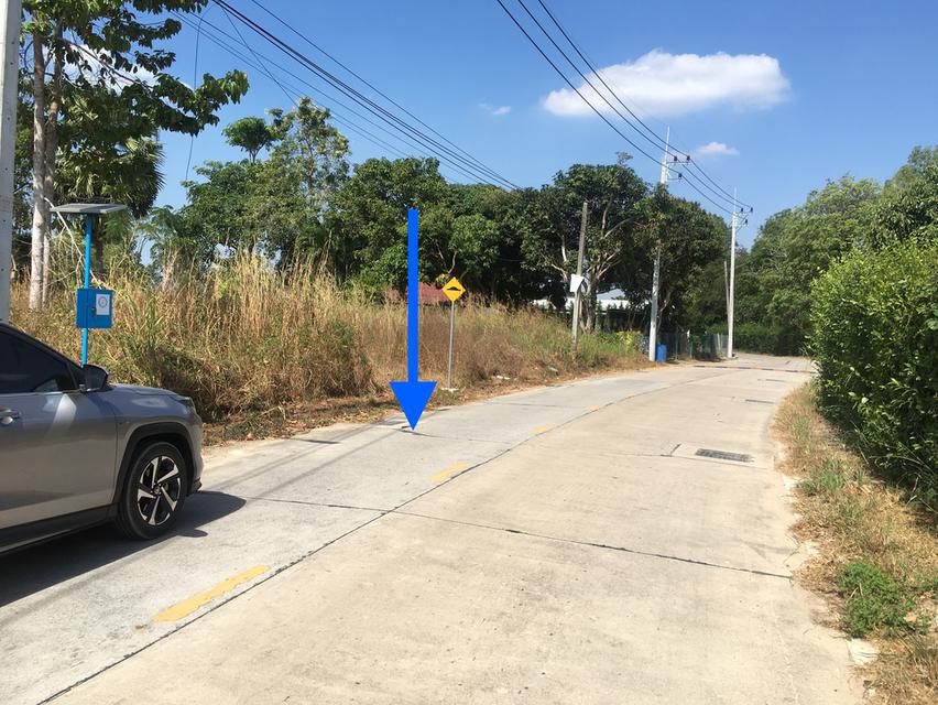 ขายที่ดินเนื้อที่ 4ไร่ 2งาน 83ตรว.ห่างถนนสุขุมวิท 1.8กม.ใกล้สวนนงนุชพัทยา ตำบลนาจอมเทียน สัตหีบ ชลบุรี ที่ดินถมแล้ว ใกล้เขาชีจรรย์ 3