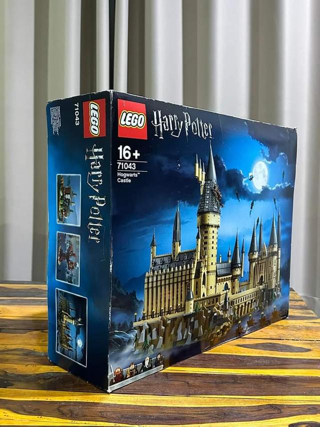 LEGO 71043 Harry Potter Hogwarts Castle 3