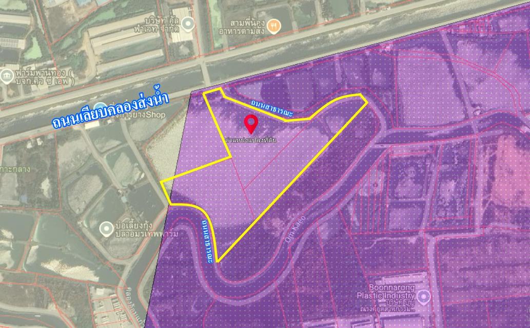 ขายที่สีม่วง  31  ไร่ ใกล้ถนนเลียบมอเตอร์เวย์ สาย 7 ใกล้นิคมอมตะ ชลบุรี  ต.บางนาง อ.พานทอง จ.ชลบุรี 6