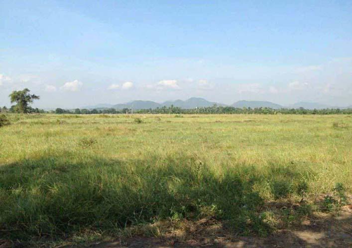 L-151: ที่ดิน 126 ไร่ หน้ากว้างติดถนนคอนกรีต 400 เมตร ถ.เพชรเกษม (ขาลง) หาดขาม กุยบุรี ประจวบฯ 18