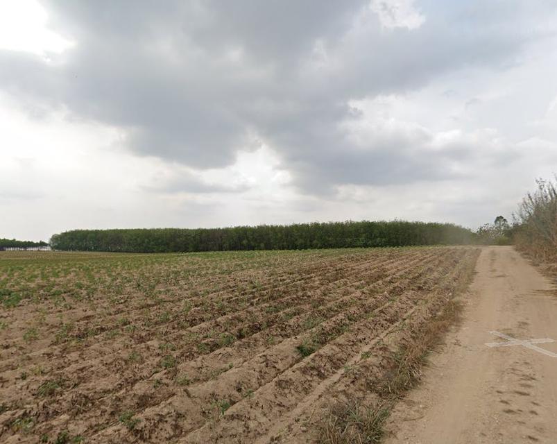 ายที่ดินบ่อวินซอยตลาดบ้านยางเอน 18 ไร่ ใกล้ถนน331-700เมตร อ.ศรีราชา ชลบุรี