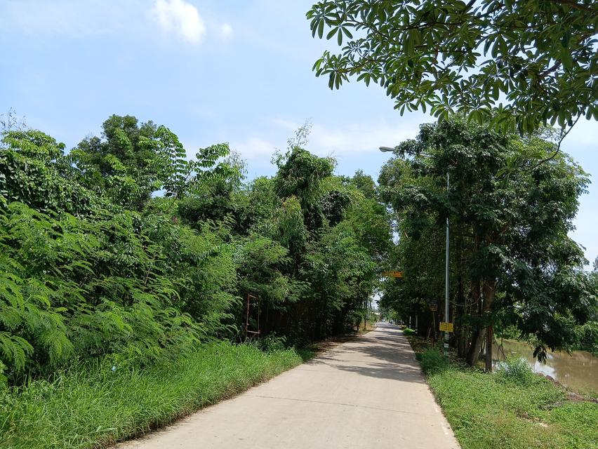 ที่ดิน 10-2-90 ไร่ ถ.เลียบคลอง10ฝั่งตต. หนองเสือ ปทุมธานี 3