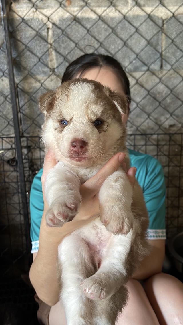 อัปเดตเด็กเข้าใหม่ เริ่มต้น5000 รูปที่ 5