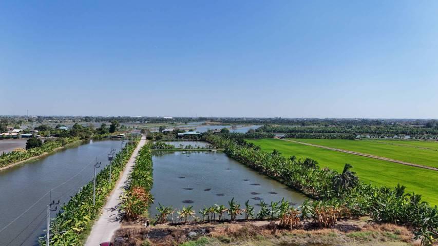 ขายที่ดิน 1 ไร่ ซอยวัดบัวโรย สมุทรปราการ 1