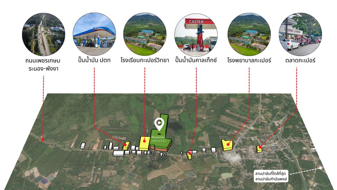 ที่ดินสวนปาล์ม 102 ไร่ 3 งาน 74 ตารางวา อ.กะเปอร์ จังหวัดระนอง 2