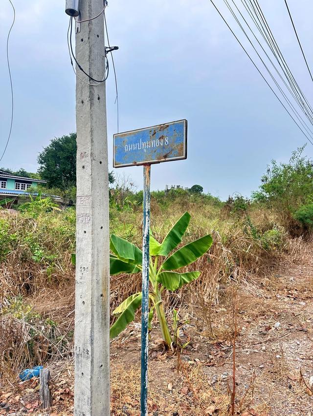 ขายที่ดิน1งาน30ตรว.ที่ดินสวยติด2ถนนด้านหลังติดคลอง(เจ้าของขายเอง) 5